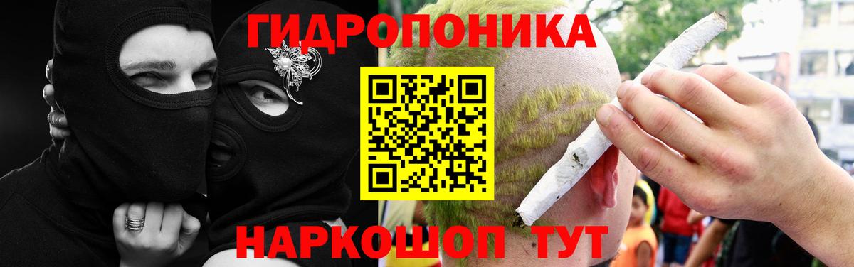 Каннабис гибрид Ленинск-Кузнецкий